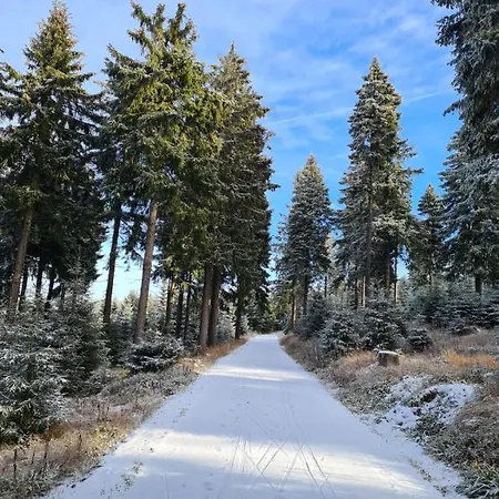 Hammerblick