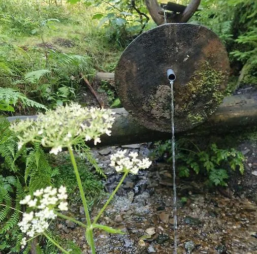 Hammerblick Apartment *